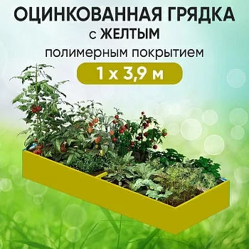 Грядка желтая (1 х 3,9)