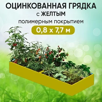 Грядка желтая (0,8 х 7,7)