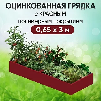 Грядка красная (0,65 х 3)