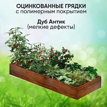 Классическая Дуб Антик (мелкие дефекты)