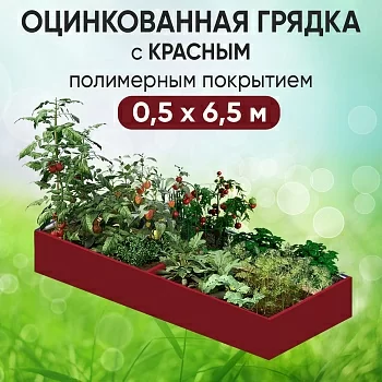 Грядка красная (0,5 х 6,5)